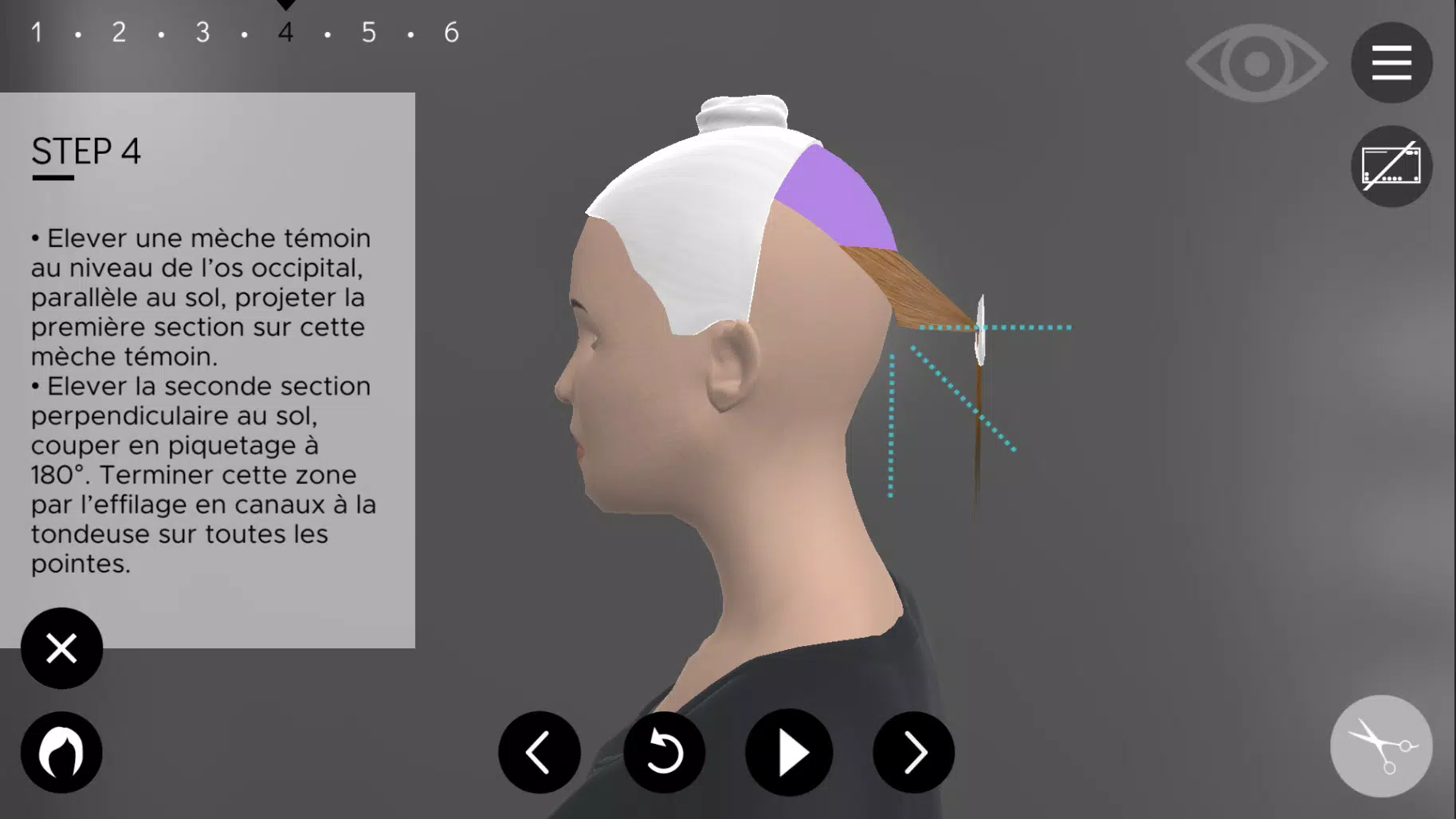 Hairteach Screenshot 1