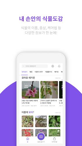 모야모 Screenshot 1