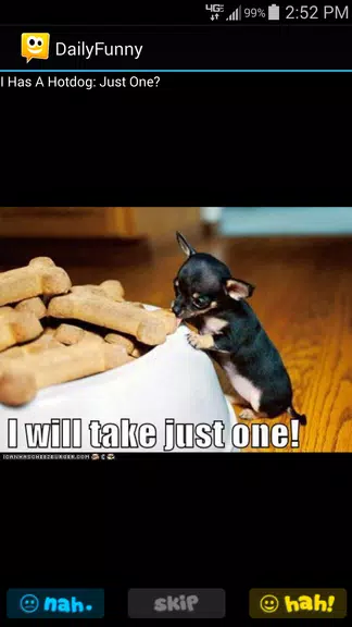 Daily Funny Captura de pantalla 4