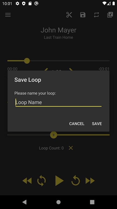 Loop Player Captura de pantalla 3