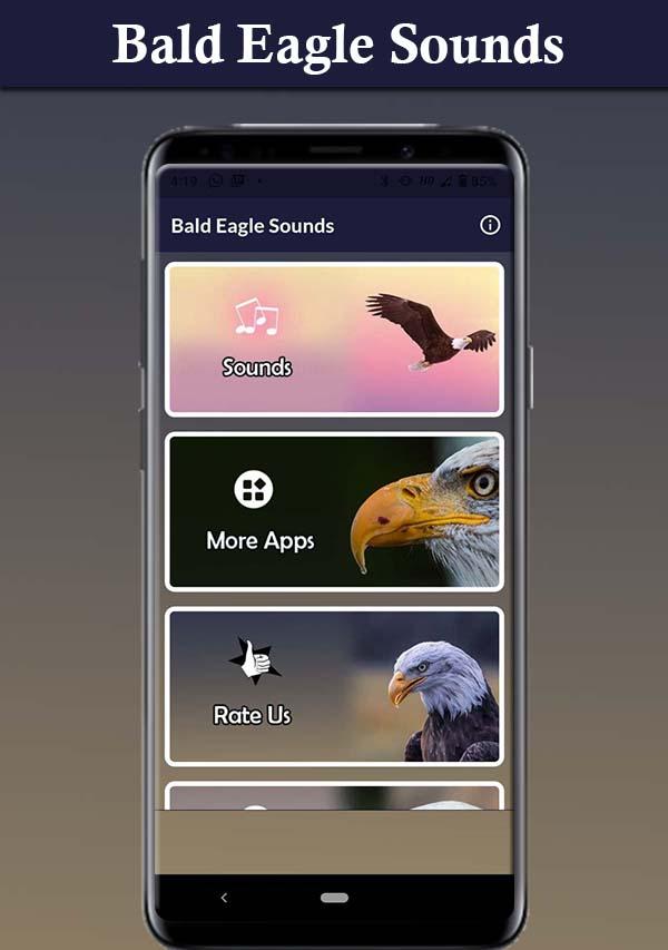 Bald Eagle Sounds ภาพหน้าจอ 3