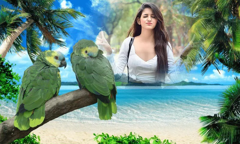 Birds Photo frame : Bird photo應用截圖第1張