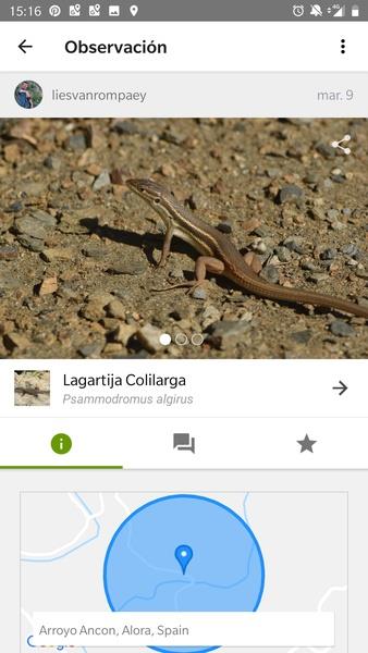 iNaturalist ภาพหน้าจอ 3