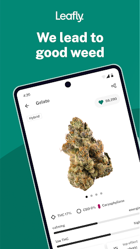 Leafly: Find Cannabis and CBD Captura de tela 1