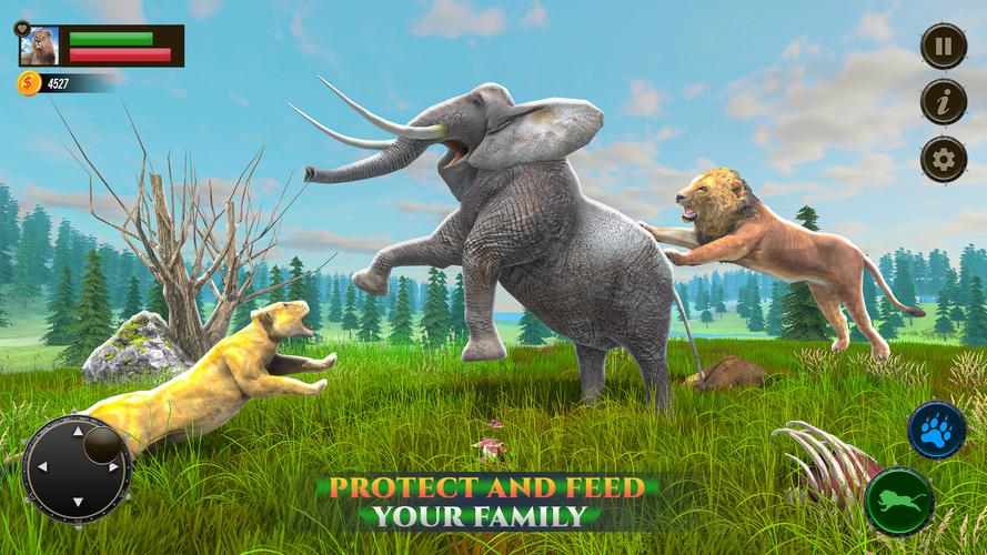 Jungle Kings Kingdom Lion Screenshot 2