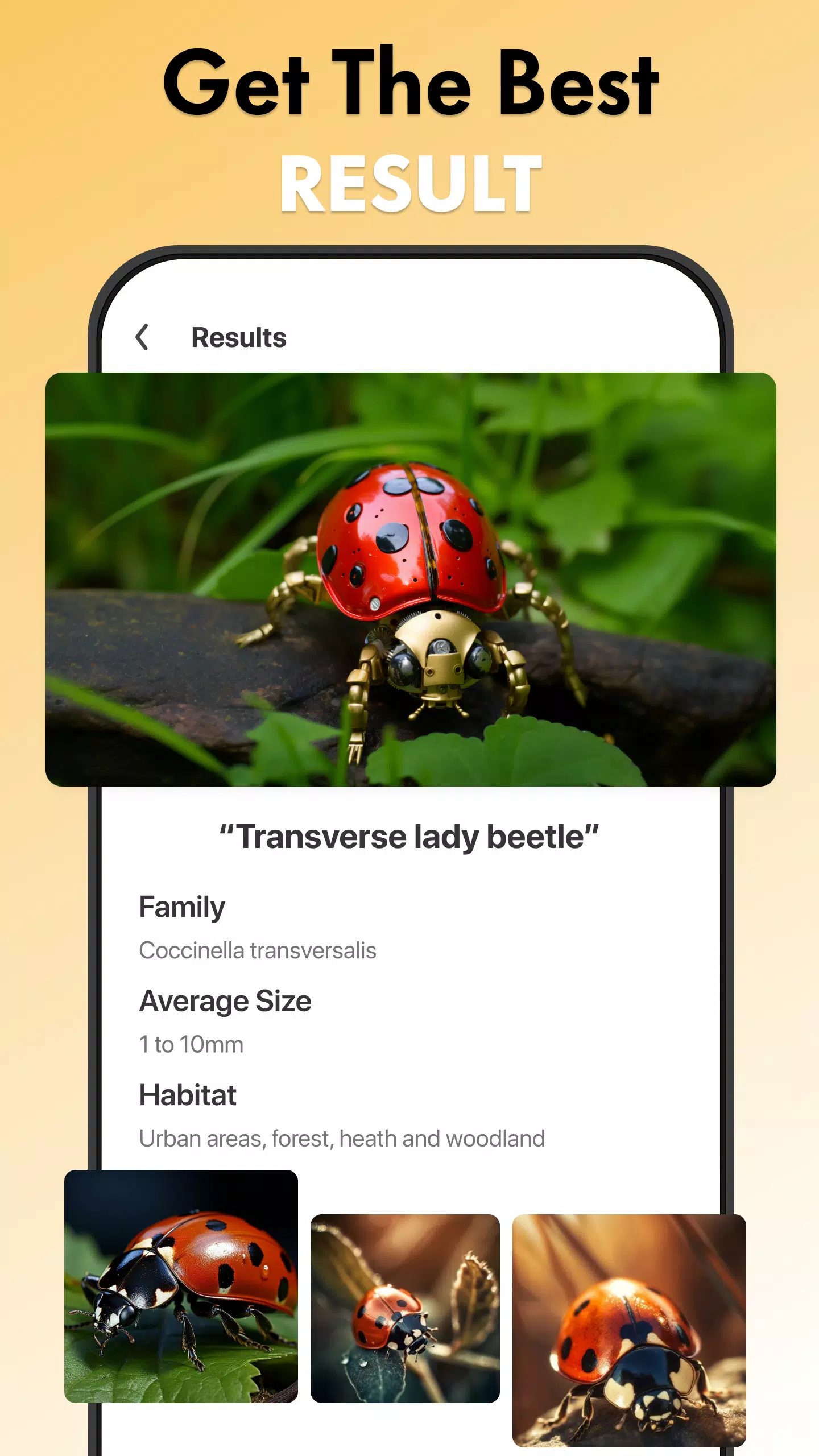 Insect Identifier Bug Identify Скриншот 3