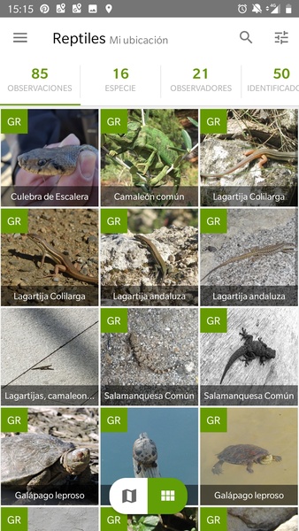 iNaturalist ภาพหน้าจอ 2