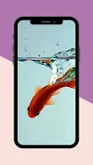 Koi Fish Live Wallpaper Screenshot 2