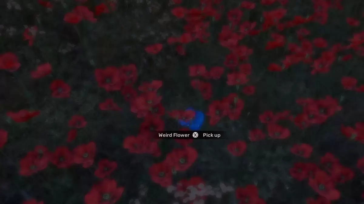 Stalker 2 Flower ปลดล็อคความลึกลับ