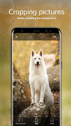 Dog Wallpapers & Puppy 4K স্ক্রিনশট 4