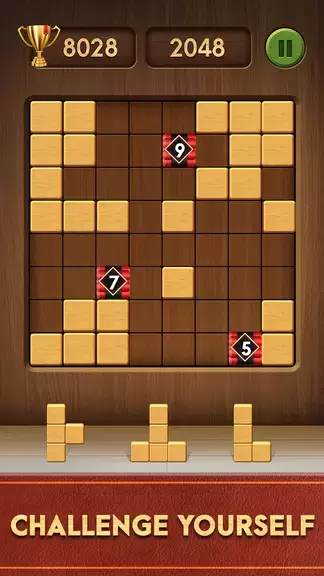 Block Puzzle Magic应用截图第1张