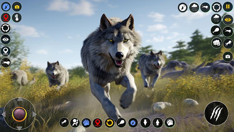 Wolf Simulator: Wild Wolf Game ဖန်သားပြင်ဓာတ်ပုံ 3