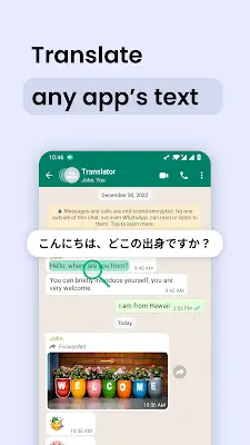 Instant Translate On Screen Screenshot 2