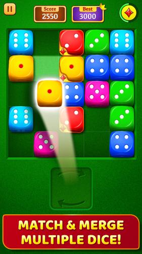 Dice Puzzle应用截图第1张