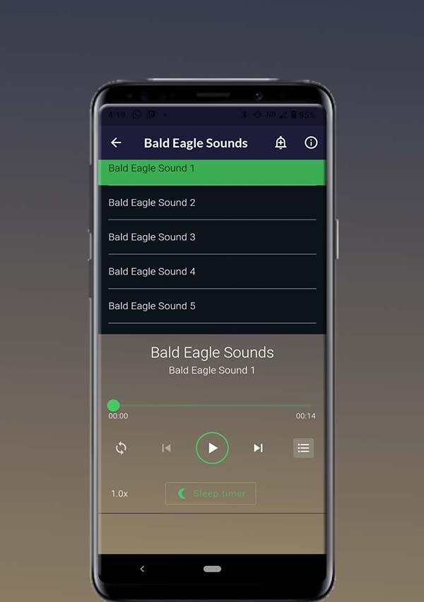 Bald Eagle Sounds ภาพหน้าจอ 1