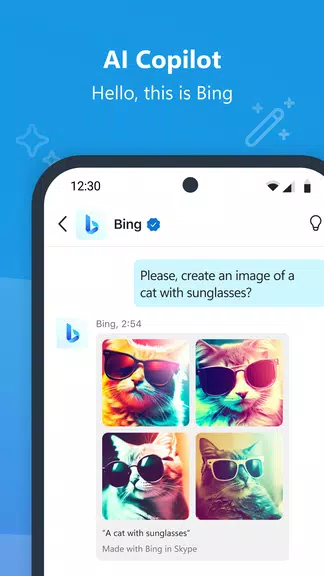 Schermata Skype Insider 2