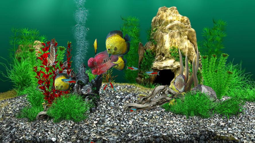 AquaLife 3D Capture d'écran 4