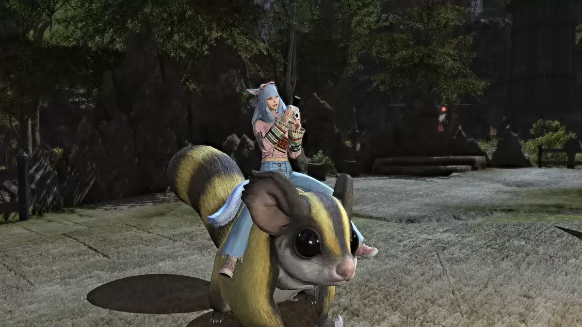 Gambar emote yang digunakan semasa dipasang di ffxiv