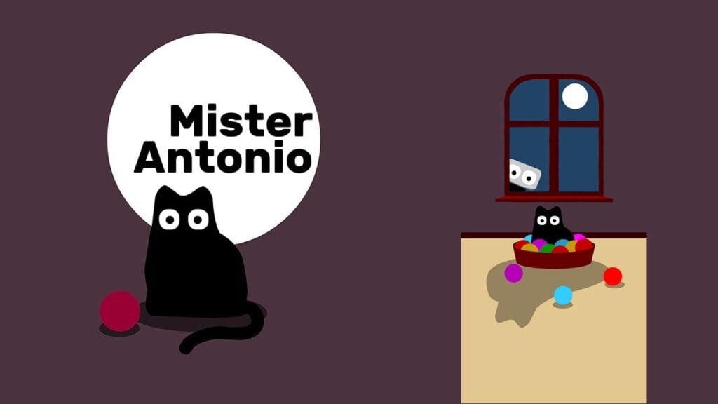 ပဟေဋ္ဌိဆရာ Bart Bonte သည် Feline Frenzy 'Mister Antonio' ​​ကို ထုတ်ဖော်ပြသခဲ့သည်။